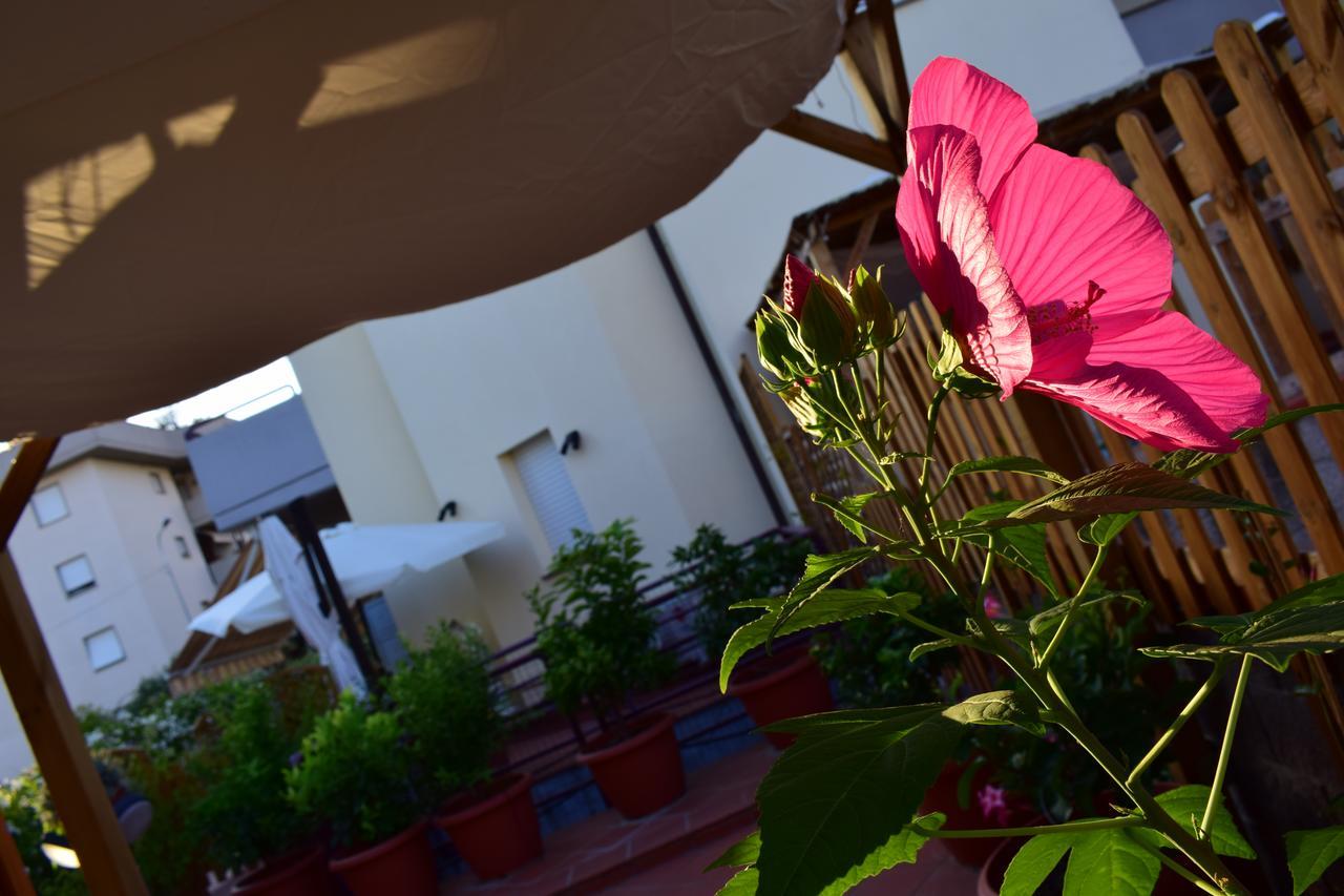 Domus Socolatae Apartments&Suites Follonica Extérieur photo